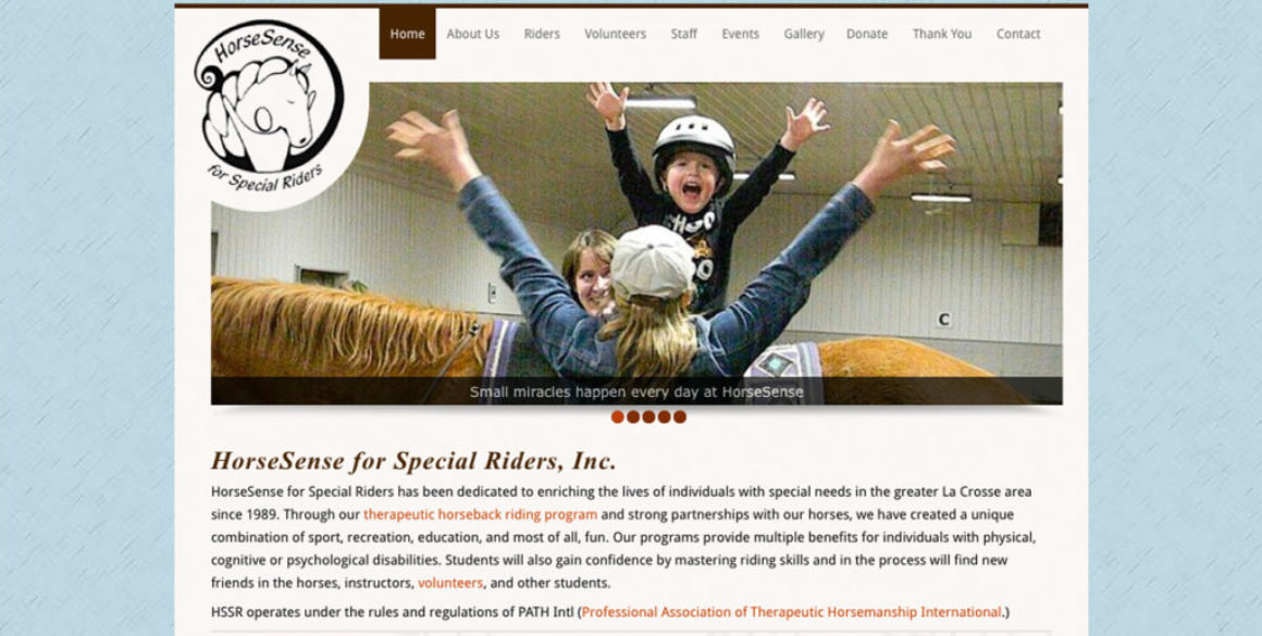 The BLÜ Group partners with HorseSense for Special Riders and creates a new website for them.