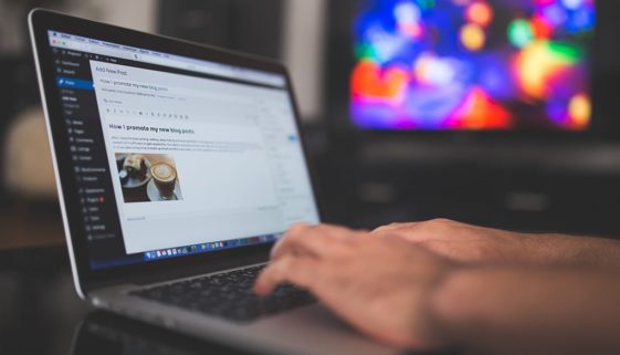 blu-blog-posts