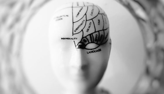 BLU-brain